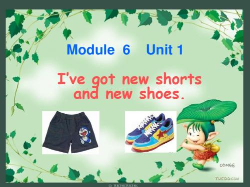 省市公开课三上M6U1 Ive got new shorts and new shoes第一课时课件