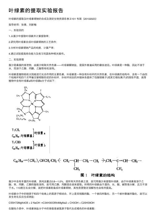 叶绿素的提取实验报告