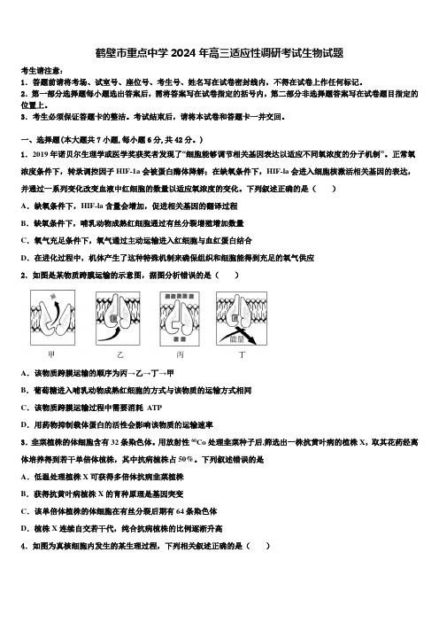 鹤壁市重点中学2024年高三适应性调研考试生物试题含解析