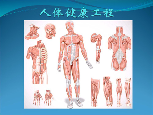 汗蒸与排瘀的结合