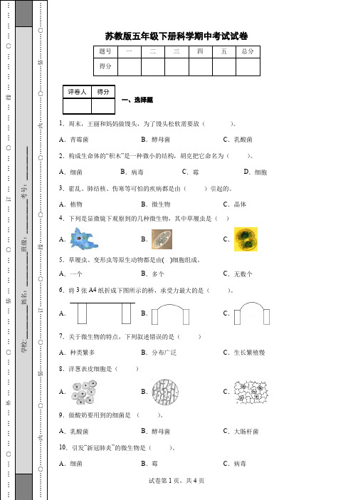 苏教版五年级下册科学期中考试试卷(后附答案)