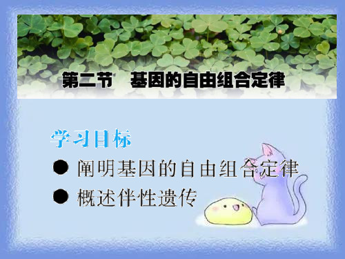 生物必修2第二节《基因的自由组合定律》ppt