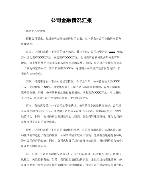 公司金融情况汇报