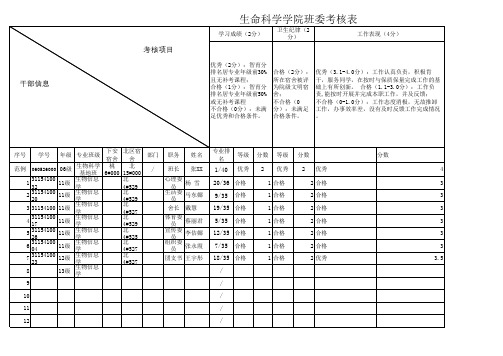 班委考核表样板