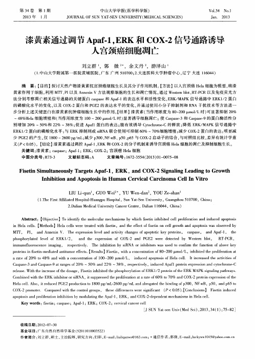 漆黄素通过调节Apaf-1.ERK和COX-2信号通路诱导人宫颈癌细胞凋亡