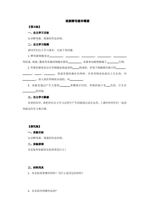 初中生物实验突破(通用版)：观察酵母菌和霉菌导学案