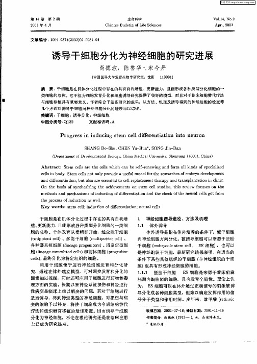 诱导干细胞分人为神经细胞的研究进展