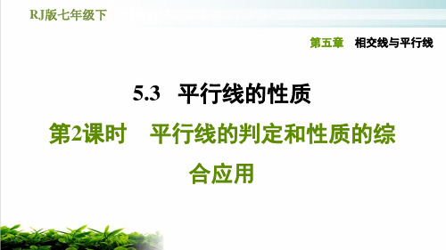 人教版数学七年级下册习题课件平行线的性质平行线的判定和性质的综合应用