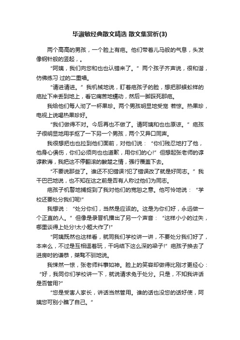 毕淑敏经典散文精选散文集赏析（3）