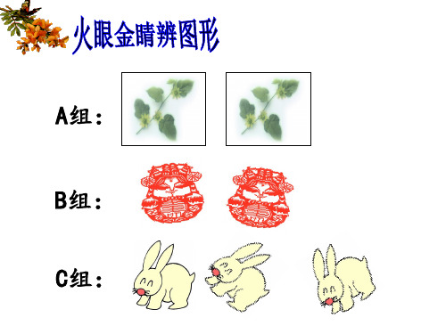 人教版八年级数学上册全等三角形优质PPT