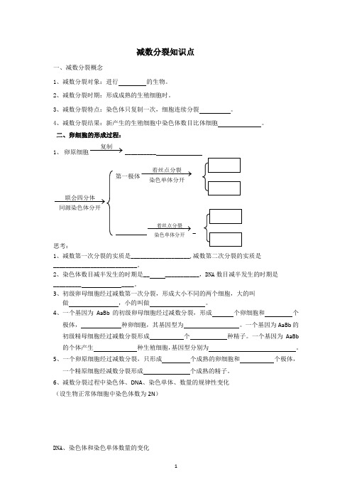 减数分裂知识点1