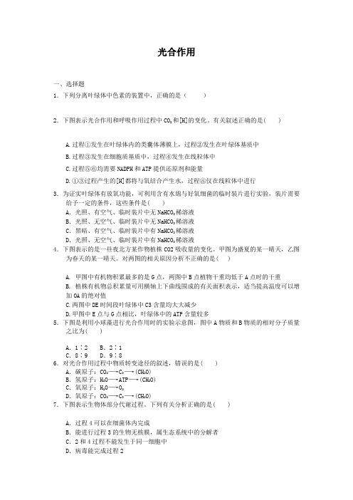 3.5光合作用每课一练9(浙科版必修1)