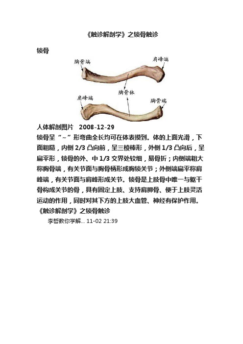 《触诊解剖学》之锁骨触诊