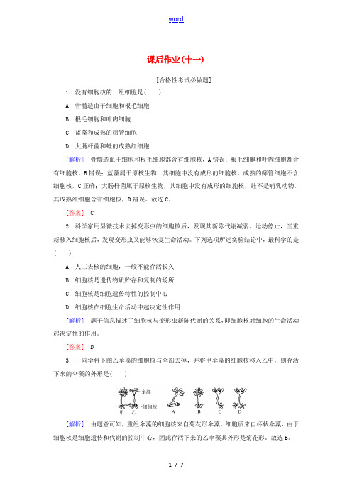 高中生物 课后作业11 细胞核的结构和功能 新人教版高一必修1生物试题