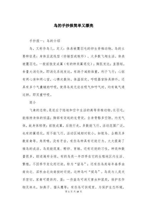 鸟的手抄报简单又漂亮