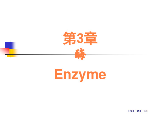 酶enzymPPT课件