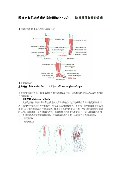 激痛点和肌肉疼痛自我按摩治疗(25)除拇趾以外脚趾趾背痛
