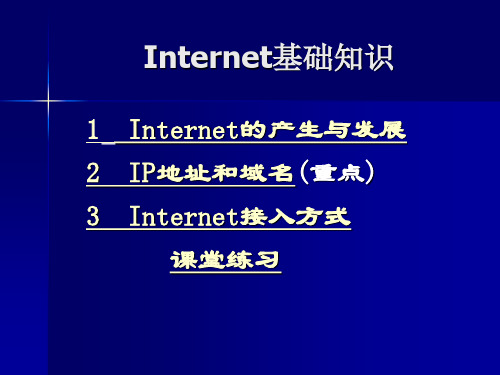 internet习题