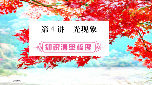 中考物理总复习 第4讲 光现象课件