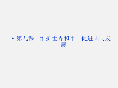 高考政治 一轮政治生活第四单元第九课