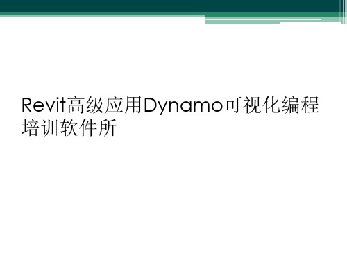 Revit高级应用Dynamo可视化编程培训软件所