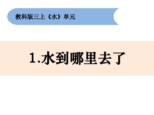 新教科版人小学科学三年级上册《水到哪里去了》优质课件