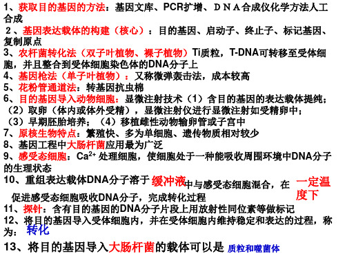 1.4  蛋白质工程