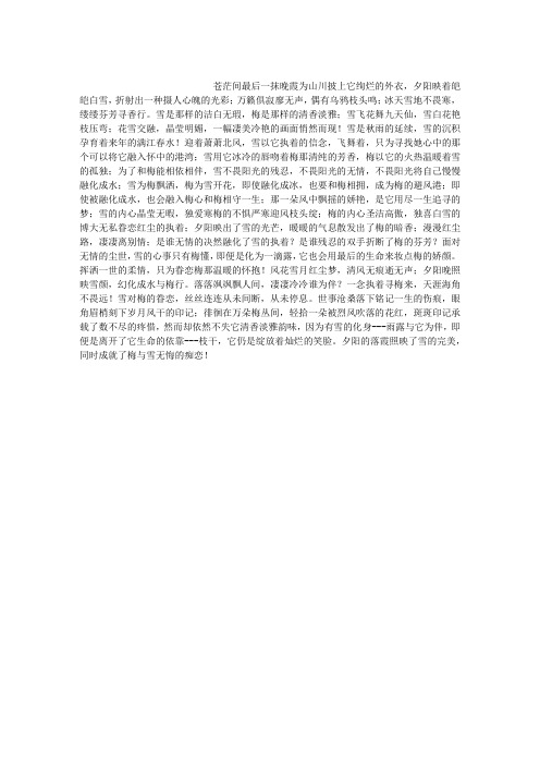 夕阳晚照映雪颜,拈花成诗醉梅间