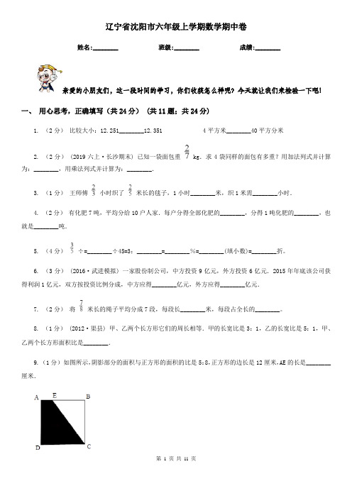 辽宁省沈阳市六年级上学期数学期中卷