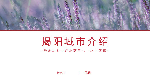 揭阳介绍-揭阳简介PPT(经典版)