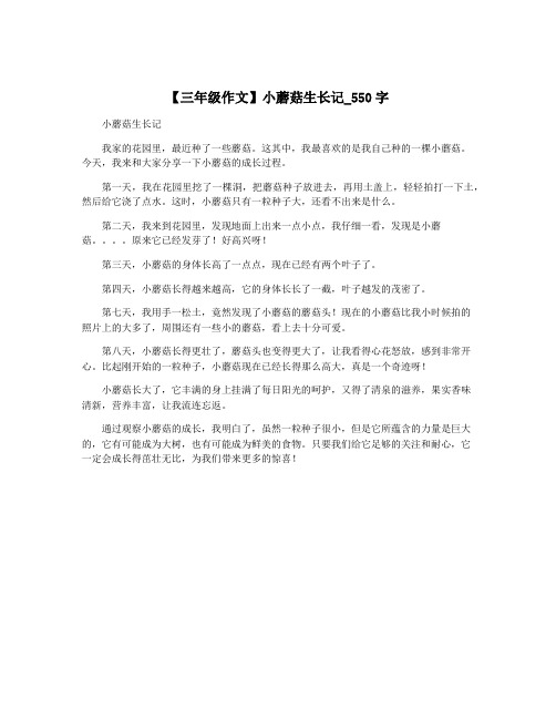 【三年级作文】小蘑菇生长记_550字