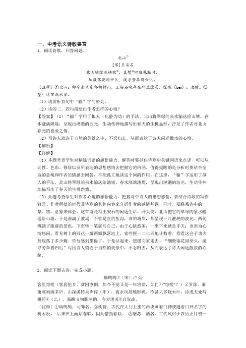 中考语文复习诗歌鉴赏专项综合练含详细答案