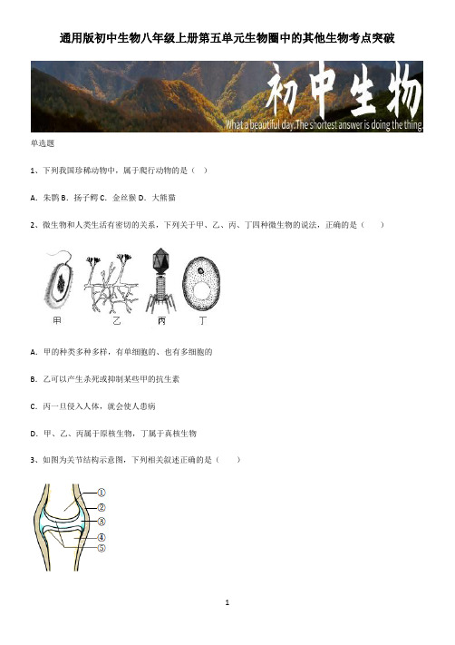 通用版初中生物八年级上册第五单元生物圈中的其他生物考点突破