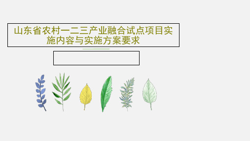 山东省农村一二三产业融合试点项目实施内容与实施方案要求28页PPT