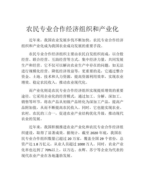 农民专业合作经济组织和产业化