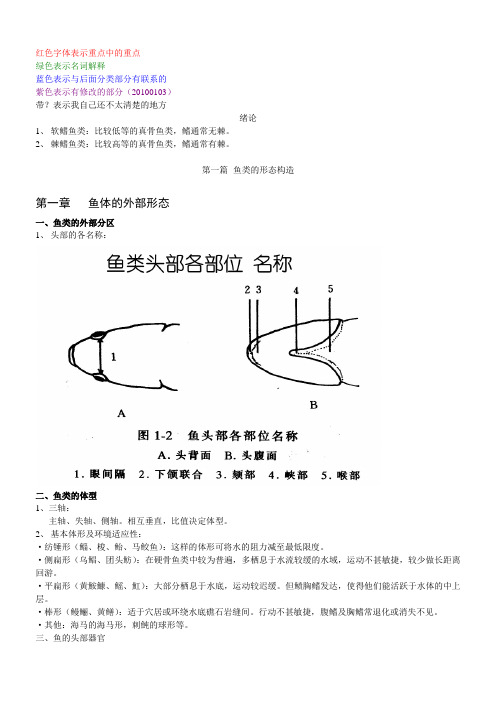 鱼类学形态部分总复习(0103修订版)