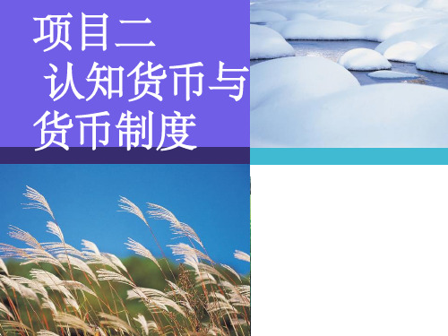 金融学第二章认知货币与货币制度ppt课件