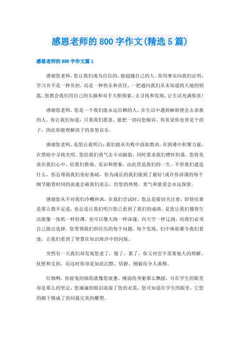 感恩老师的800字作文(精选5篇)