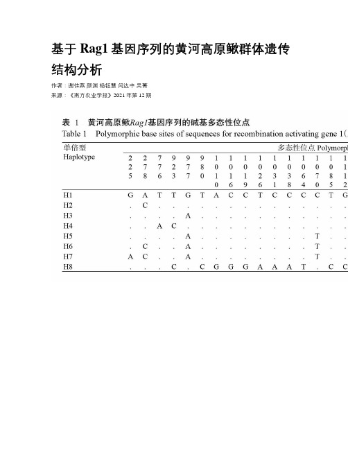 基于Rag1基因序列的黄河高原鳅群体遗传结构分析