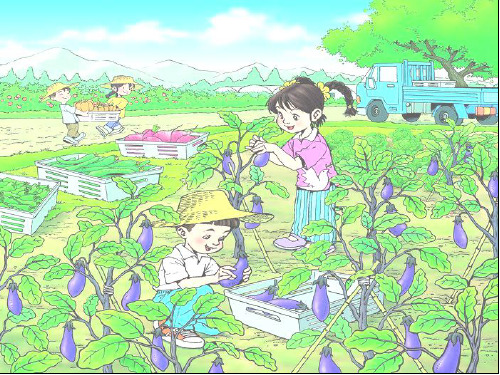 人教版小学一年级上册语文:3 菜园里
