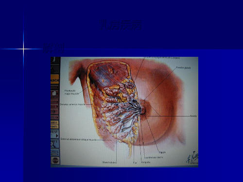 乳房疾病解剖图ppt课件