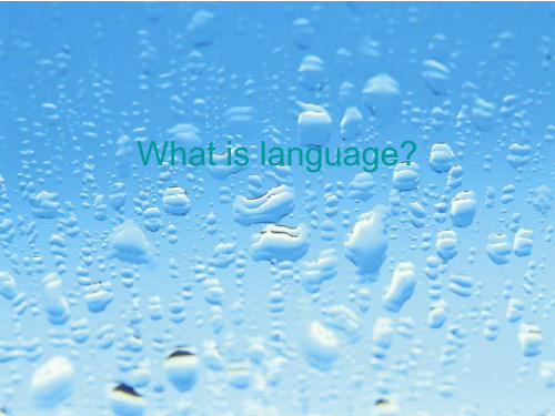 What is language什么是语言