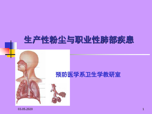 生产性粉尘与肺部疾患PPT演示幻灯片