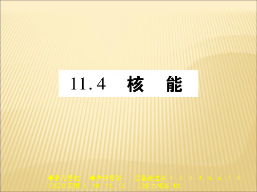 教科版九年级物理(全一册)课件：11.4 核能 (共22张PPT)