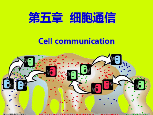 细胞生物学 第五章 细胞通讯