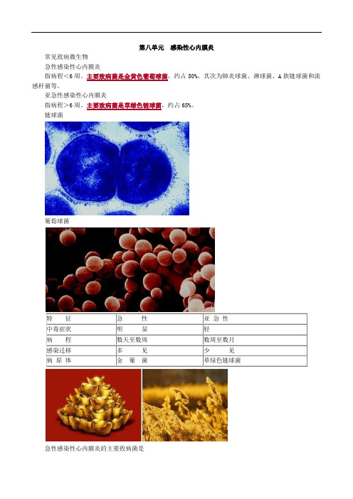 第08单元 感染性心内膜炎(讲义)
