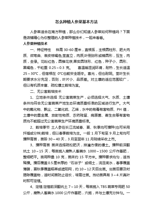 怎么种植人参菜基本方法