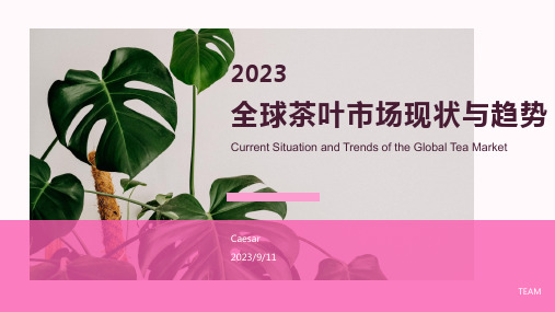 2023年全球茶叶当前形势与市场发展报告