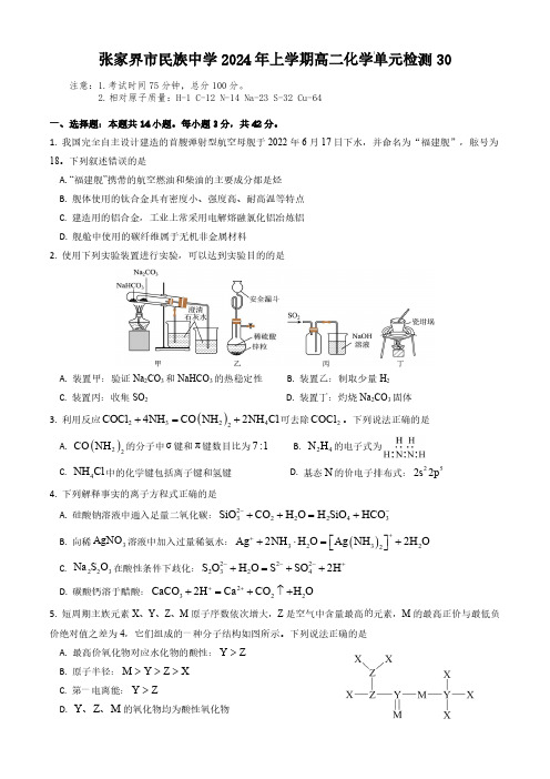 2024年上学期高二化学单元检测30