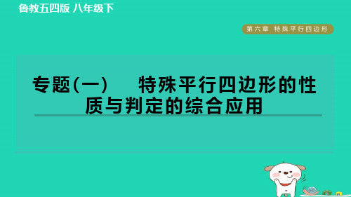 八下第6章特殊平行四边形专题一特殊平行四边形的性质与判定的综合应用习题鲁教版五四制